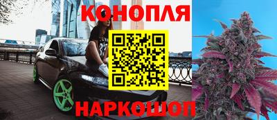 мяу мяу мука Краснознаменск