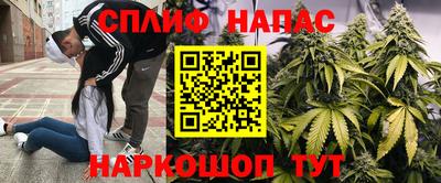 мяу мяу мука Краснознаменск