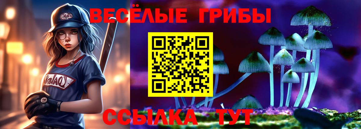Галлюциногенные грибы Psilocybe  наркотики  Гусев  Галлюциногенные грибы Psilocybine cubensis  Вход с VPN 